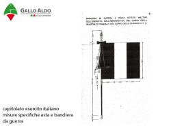 A-Misure specifiche Asta bandiera da Guerra come da capitolato esercito italiano.jpg